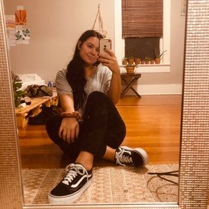 Vans Platform Skate Shoes